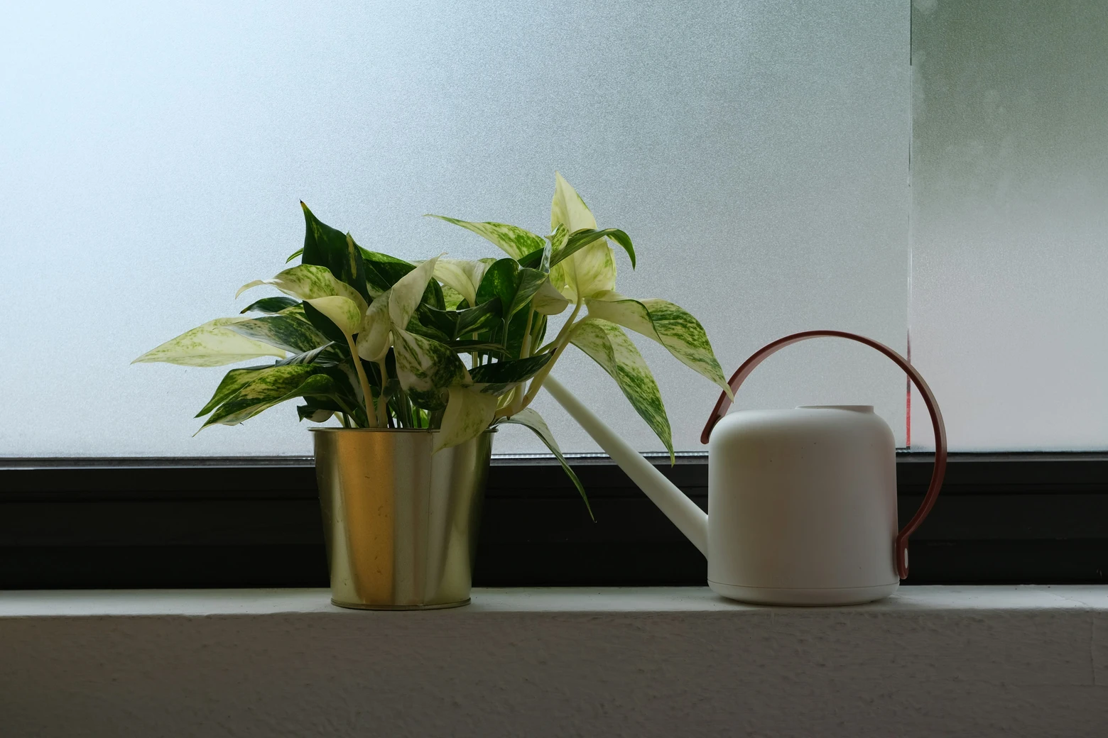AI for indoor plants