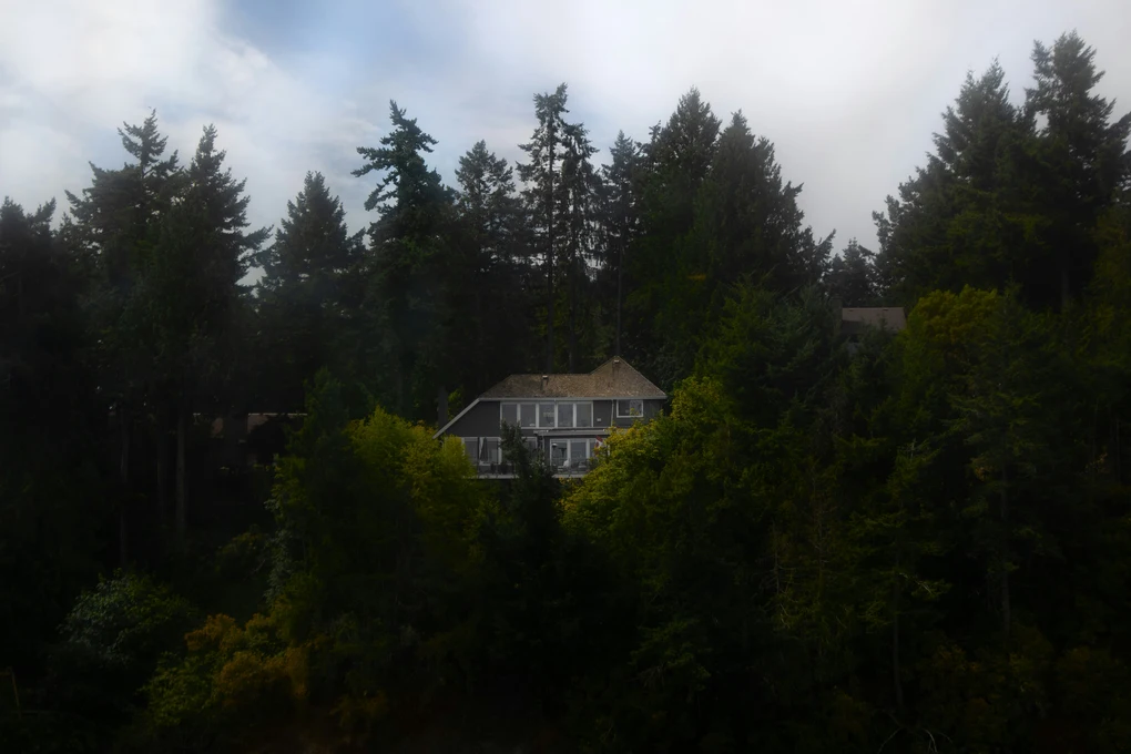 AI Biophilic Homes: How Smart Nature Design Is Reprogramming Modern Living 7 anqs KqqGlh0Uldk unsplash